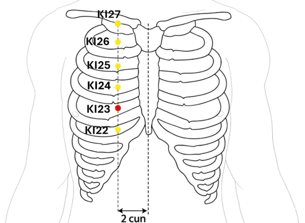 KI-23 - Spirit Seal Acupoint Location illustration for On the chest, level with the 4th intercostal space, lateral to the sternum.