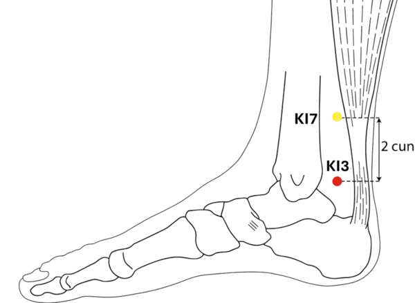 KI-3 - Supreme Stream Acupoint Location illustration for Located on the medial ankle, in a prominent hollow behind the malleolus.