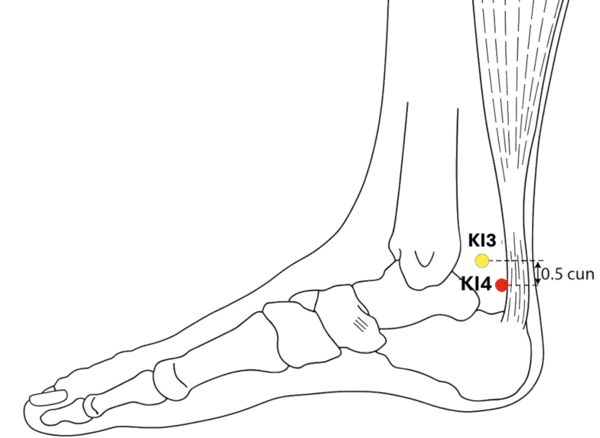 KI-4 - Great Bell Acupoint Location illustration for Located on the medial aspect of the heel, just below KI-3.