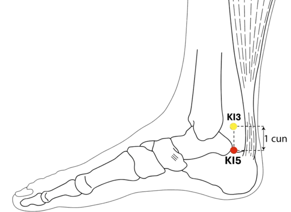 KI-5 - Water Spring Acupoint Location illustration for Located on the medial heel, just below KI-3.