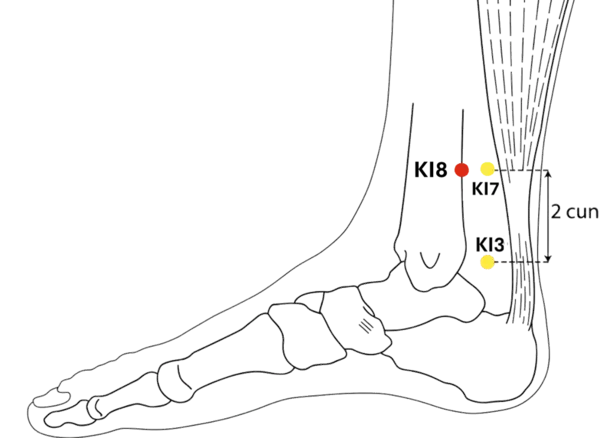 KI-8 - Exchange Belief Acupoint Location illustration for On the medial lower leg, anterior to KI-7, in a shallow depression.