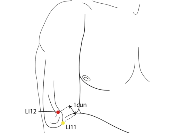 Location illustration for Located just above LI-11, near the lateral epicondyle.