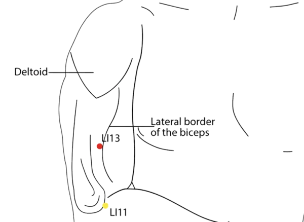 LI-13 - Arm Five Miles Acupoint Location illustration for Located on the lateral upper arm, between elbow and shoulder.
