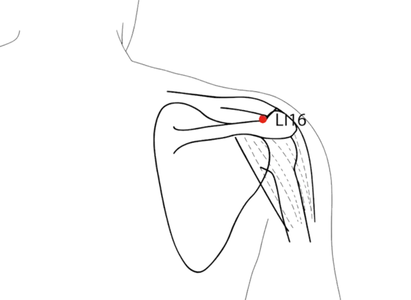 Location illustration for Located at the shoulder girdle, near the acromioclavicular joint.