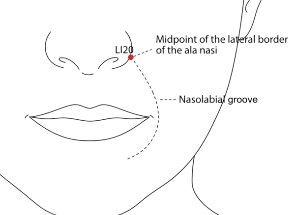 Location illustration for Located beside the nose, in the groove that runs from the nostril to the mouth.