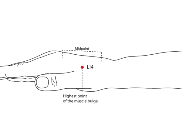 LI-4 - Joining Valley Acupoint Location illustration for Located in the web between the thumb and index finger, in a palpable depression.