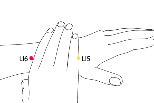 Location illustration for Located on the radial aspect of the forearm, midway between wrist and elbow.