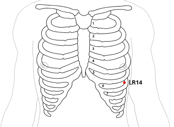 LR-14 - Gate of Hope Acupoint Location illustration for Located on the anterior thorax, below the nipple line, in the sixth intercostal space.