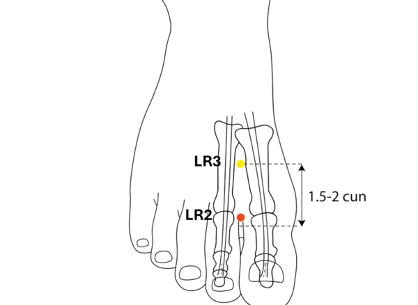 LR-2 - Moving Between Acupoint Location illustration for Located in the depression between the first and second metatarsals.