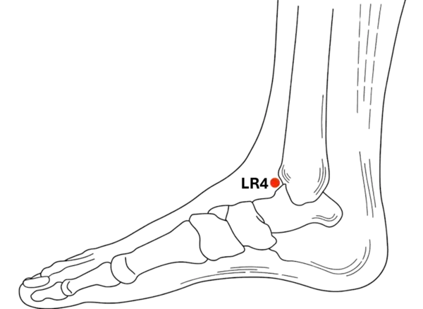 LR-4 - Middle Seal Acupoint Location illustration for Located on the medial ankle, just anterior to the malleolus.