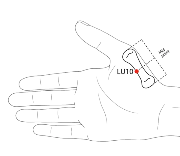 LU-10 - Fish Border Acupoint Location illustration for Located on the palm, at the base of the thumb.