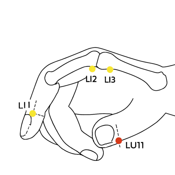 LU-11 - Lesser Shang Acupoint Location illustration for Located at the nail base of the thumb, on the radial side.