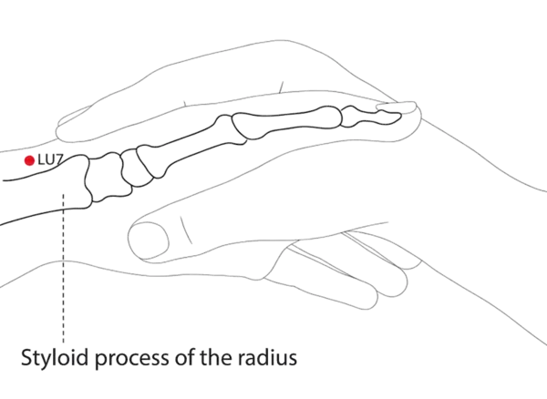 LU-7 - Broken Sequence Acupoint Location illustration for Located on the radial aspect of the forearm, just above the wrist.