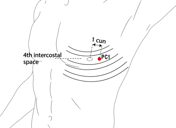 PC-1 - Celestial Pool Acupoint Location illustration for Located on the chest, slightly lateral to the nipple, in the fourth intercostal space.