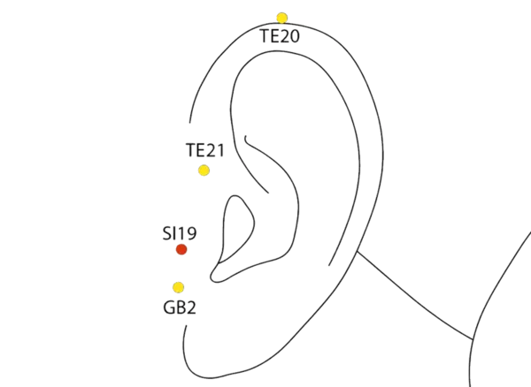 SI-19 - Palace of Hearing Acupoint Location illustration for Located at the ear, in the hollow anterior to the ear canal.