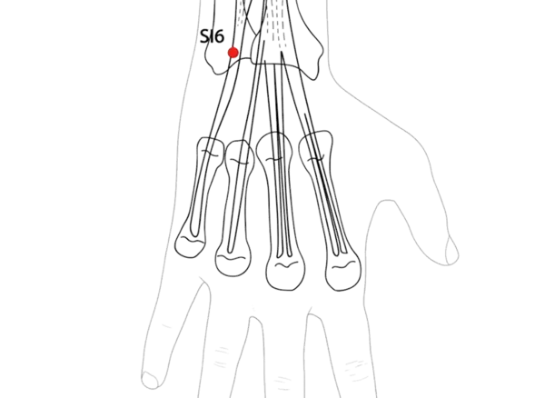 SI-6 - Nourishing the Old Acupoint Location illustration for Located with the palm placed on the chest, in a depression on the dorsal forearm.