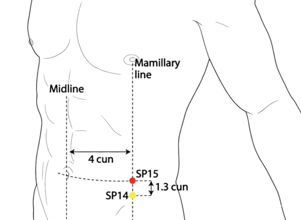 SP-15 - Great Horizontal Acupoint Location illustration for On the abdomen, level with the umbilicus, lateral to the midline.