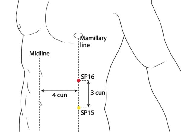 SP-16 - Abdominal Lament Acupoint Location illustration for On the upper abdomen, lateral to the midline.