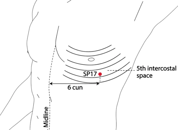 SP-17 - Food Hole Acupoint Location illustration for On the chest, in the 5th intercostal space, lateral to the nipple line.
