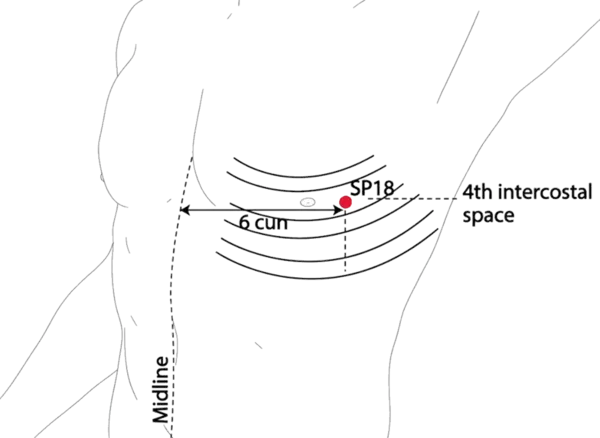 SP-18 - Heavenly Stream Acupoint Location illustration for On the chest, in the 4th intercostal space, lateral to the nipple line.