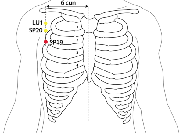 SP-19 - Chest Village Acupoint Location illustration for On the chest, in the 3rd intercostal space, lateral to the nipple line.