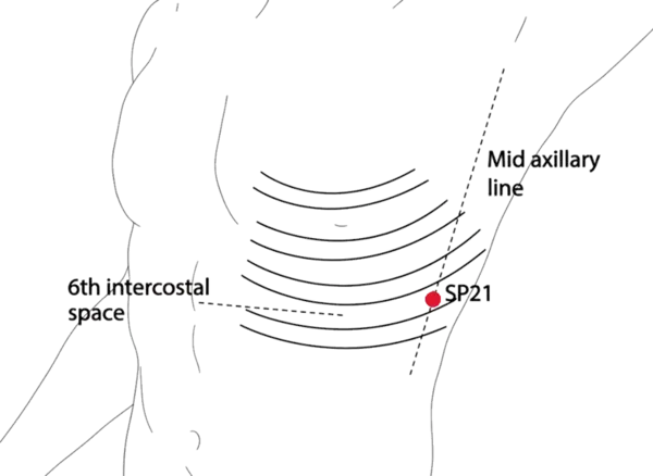 SP-21 - Great Wrapping Acupoint Location illustration for On the lateral thorax, level with the 6th intercostal space.