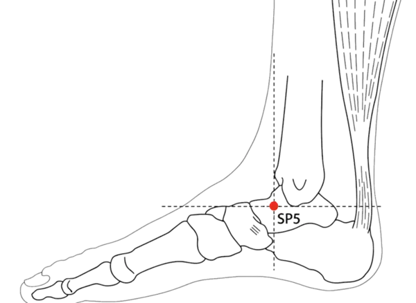 SP-5 - Shang Mound Acupoint Location illustration for In the depression anterior and inferior to the medial malleolus.