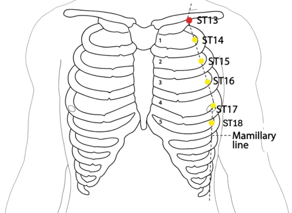 ST-13 - Qi Door Acupoint Location illustration for On the chest, directly below ST-12, 4 cun lateral to the anterior midline, at the superior border of the first rib.