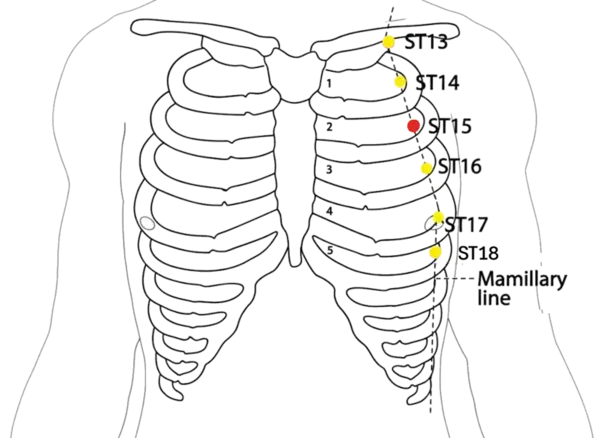 ST-15 - Roof Acupoint Location illustration for On the chest, in the third intercostal space, 4 cun lateral to the anterior midline, level with CV-18.