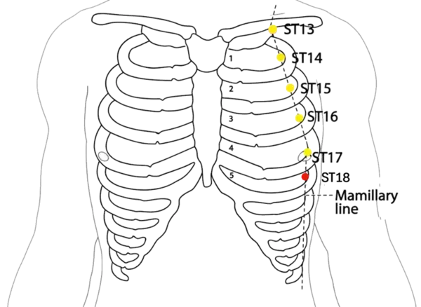 ST-18 - Root of the Breast Acupoint Location illustration for On the chest, directly below the nipple, in the fifth intercostal space, 4 cun lateral to the anterior midline, level with CV-16.