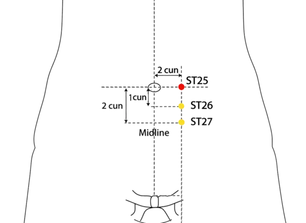 ST-25 - Heaven's Pivot Acupoint Location illustration for On the lower abdomen, 2 cun lateral to the center of the umbilicus, level with CV-8.