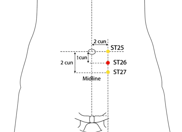 ST-26 - Outer Mound Acupoint Location illustration for On the lower abdomen, 1 cun below ST-25 and 2 cun lateral to the anterior midline, level with CV-7.