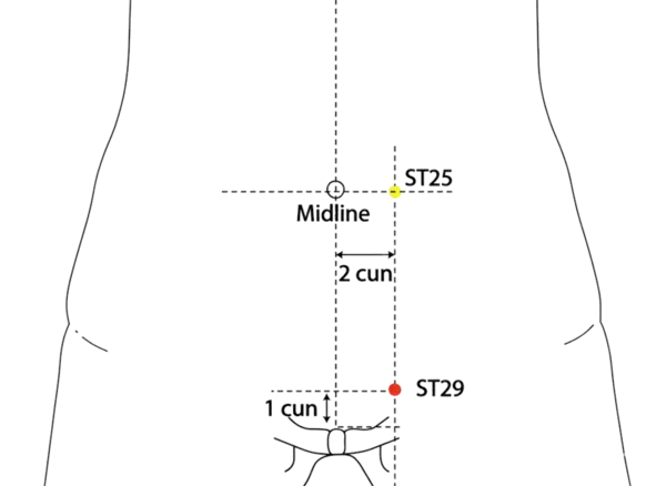 ST-29 - Return Acupoint Location illustration for On the lower abdomen, 4 cun below the umbilicus and 2 cun lateral to the anterior midline, level with CV-3.