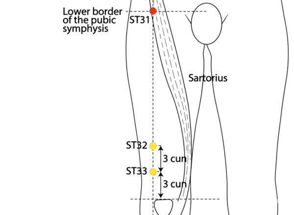 ST-31 - Thigh Joint Acupoint Location illustration for On the line connecting the anterior superior iliac spine and the lateral border of the patella, approximately at the level of the perineum when supine.