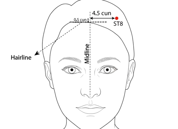 ST-8 - Head's Binding Acupoint Location illustration for At the corner of the forehead, 4.5 cun lateral to the midline and 0.5 cun within the anterior hairline, at the junction of the frontal and temporal regions.