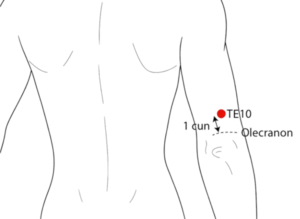 TE-10 - Celestial Well Acupoint Location illustration for On the posterior aspect of the upper arm, in the hollow above the elbow
