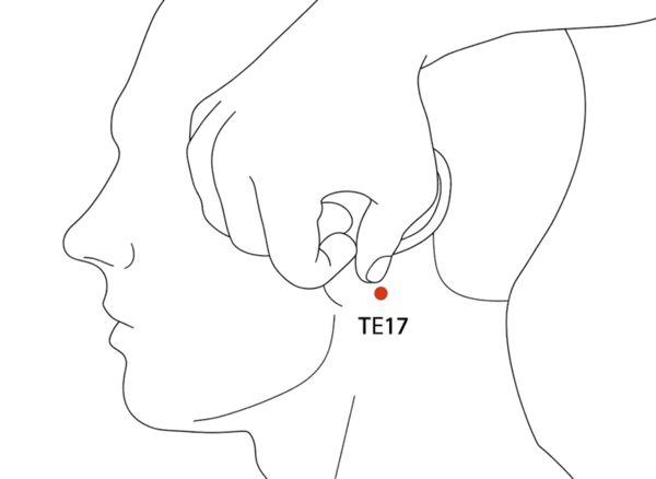 TE-17 - Wind Screen Acupoint Location illustration for Posterior to the earlobe, in the hollow formed by the mastoid and jaw angle