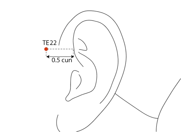 TE-22 - Harmony Bone Acupoint Location illustration for At the junction of the temporal region and the auricle, just above the TMJ