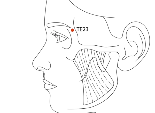 TE-23 - Silken Bamboo Hollow Acupoint Location illustration for At the outer canthus, in the hollow formed by the lateral orbital rim and the eyebrow