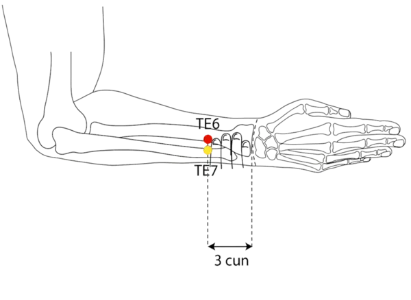 TE-6 - Branch Ditch Acupoint Location illustration for On the line connecting TE-4 and the olecranon, 3 cun above the wrist crease