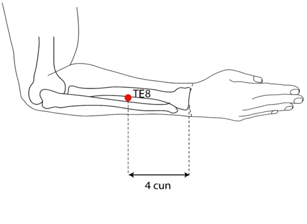 Location illustration for On the line connecting TE-4 and the olecranon, 4 cun above the wrist crease