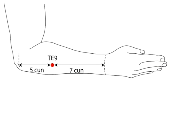 Location illustration for On the line connecting TE-4 and the olecranon, 5 cun above the wrist crease